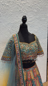 Multi Color Sangeet Lengha